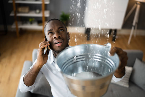  Las Lomas, TX Water damage restoration Pros