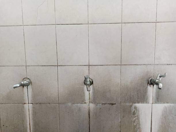 Best Mold removal after water damage  in Las Lomas, TX