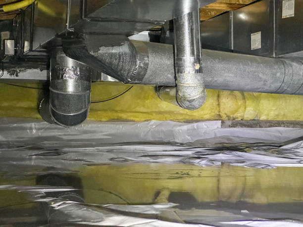 Best Emergency water damage restoration  in Las Lomas, TX