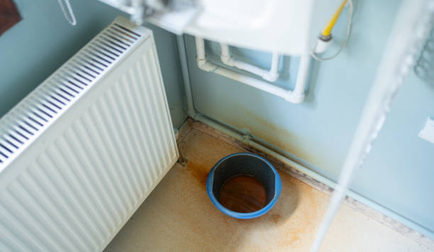 Best Local water damage restoration  in Las Lomas, TX